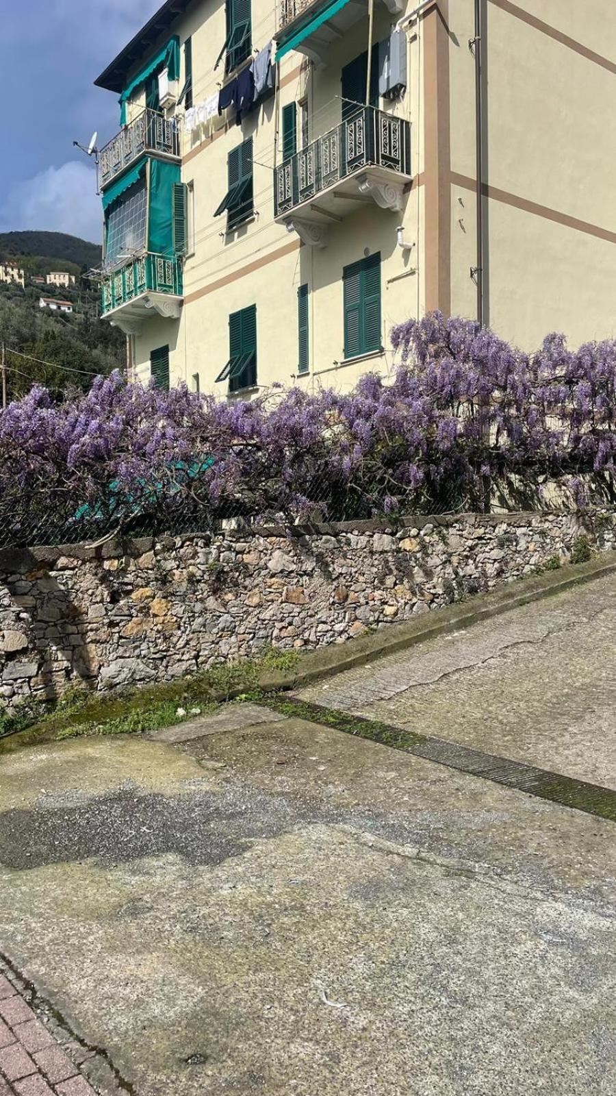 Chez Amelie Apartment La Spezia Exterior photo